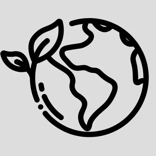 Environmentally Conscious Products