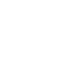 No more pee puddles staining your home